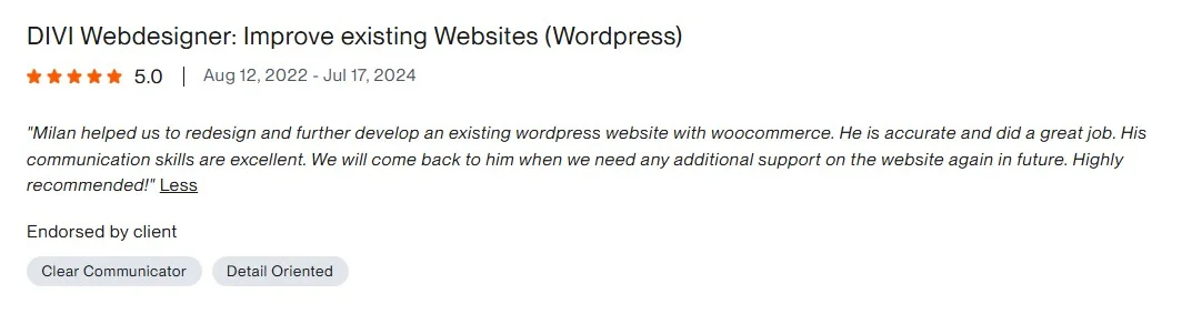 Clutch review: Website update and maintenance, WordPress Divi Builder - 5.0